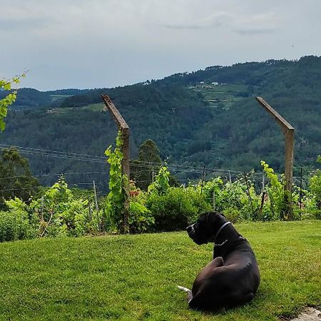 Casa Da Vina - Ribeira Sacra Villa Nogueira De Ramuin Bagian luar foto