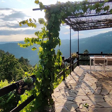 Casa Da Vina - Ribeira Sacra Villa Nogueira De Ramuin Bagian luar foto