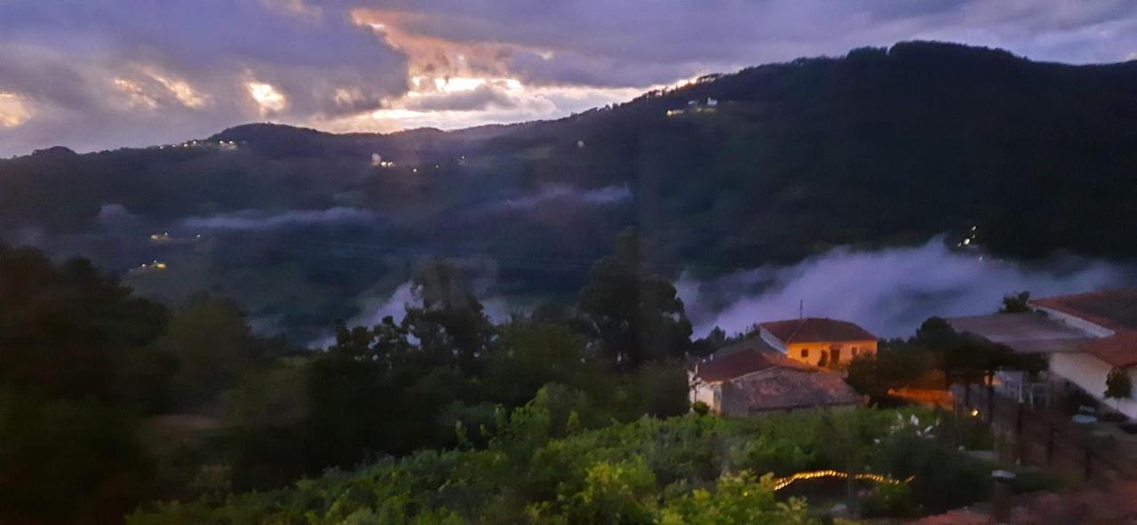 Casa Da Vina - Ribeira Sacra Villa Nogueira De Ramuin Bagian luar foto