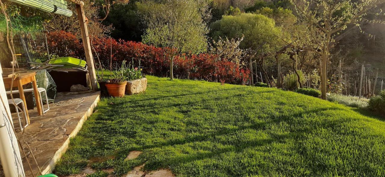 Casa Da Vina - Ribeira Sacra Villa Nogueira De Ramuin Bagian luar foto