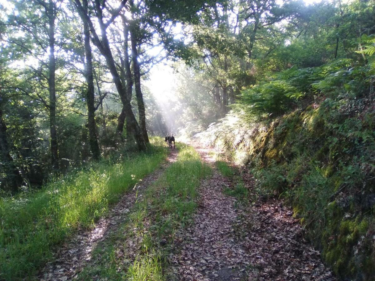 Casa Da Vina - Ribeira Sacra Villa Nogueira De Ramuin Bagian luar foto