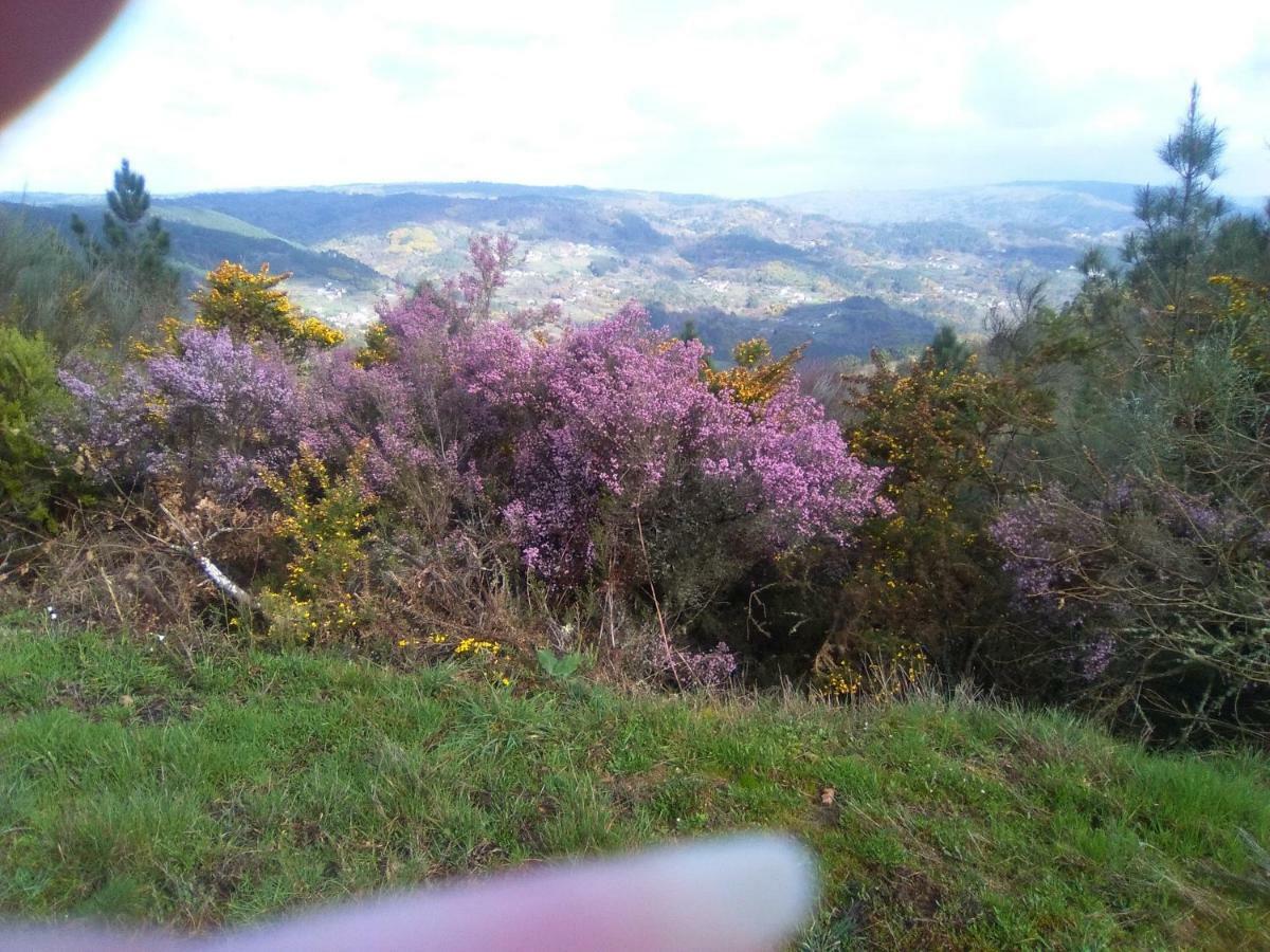 Casa Da Vina - Ribeira Sacra Villa Nogueira De Ramuin Bagian luar foto