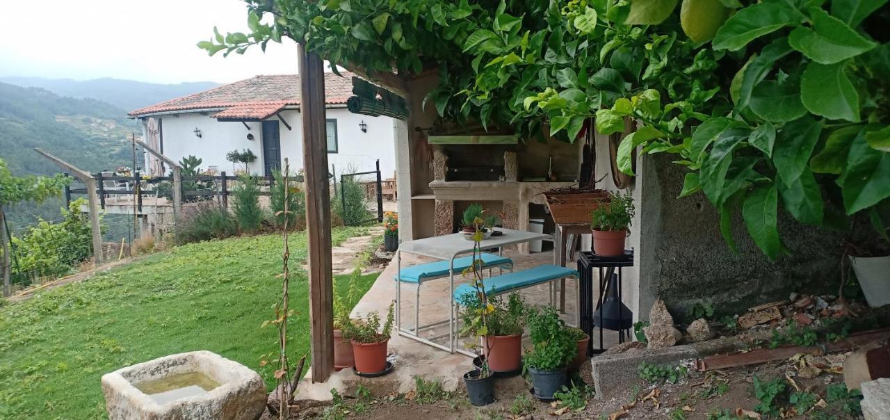 Casa Da Vina - Ribeira Sacra Villa Nogueira De Ramuin Bagian luar foto