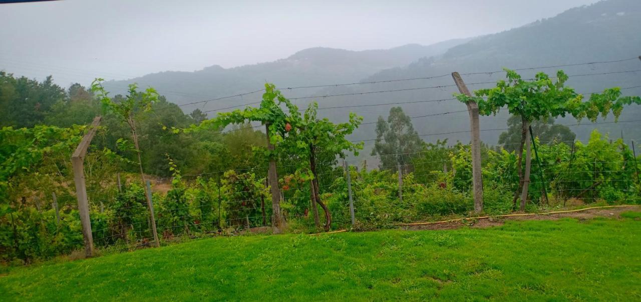 Casa Da Vina - Ribeira Sacra Villa Nogueira De Ramuin Bagian luar foto