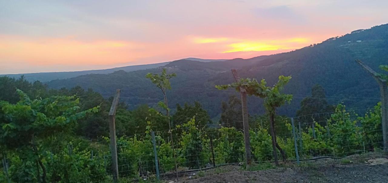 Casa Da Vina - Ribeira Sacra Villa Nogueira De Ramuin Bagian luar foto