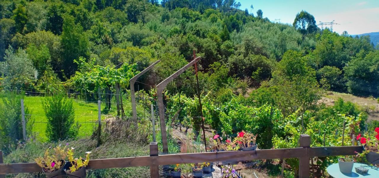 Casa Da Vina - Ribeira Sacra Villa Nogueira De Ramuin Bagian luar foto